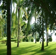 兴隆热带植物园今日天气